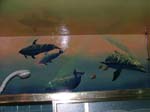 Dolphin's bathroom mural 2